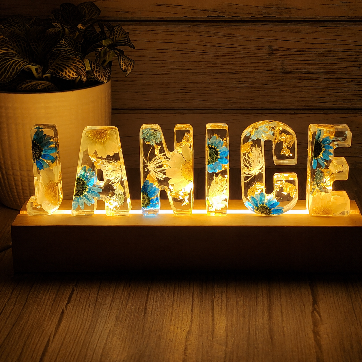 6 Charactors - Heartwarming Custom Name Night Light